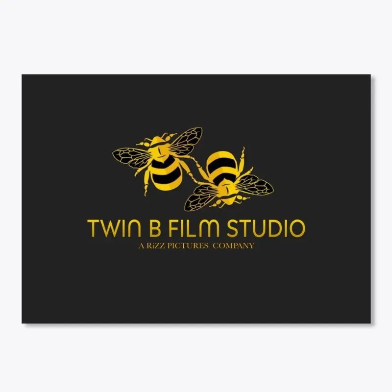 Twin B Films